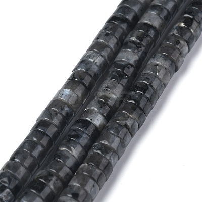 Natural Black Larvikite Beads Strands G-Z006-C31-1