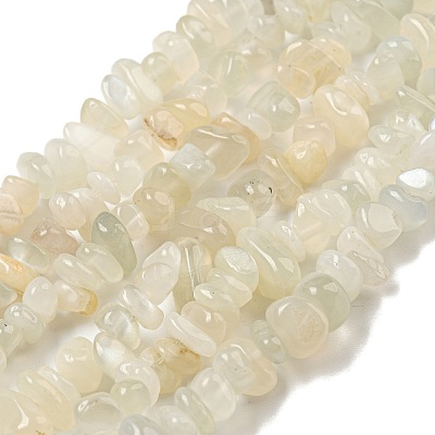Natural White Moonstone Beads Strands G-P332-01-1