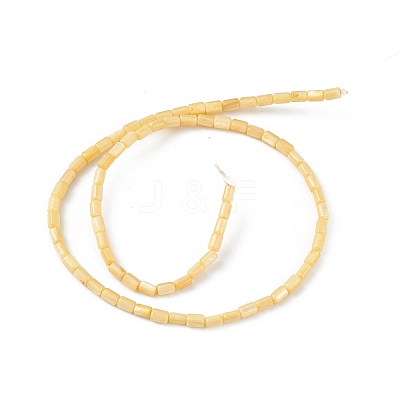 Natural Freshwater Shell Dyed Beads Strands SHEL-M018-12-01-1
