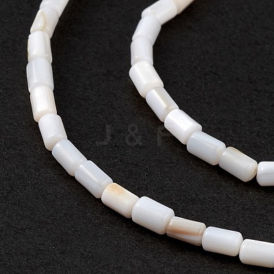 Natural Freshwater Shell Dyed Beads Strands SHEL-M018-12-12-1