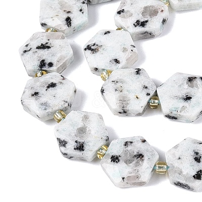 Natural Sesame Jasper Beads Strands G-N368-01A-19-1