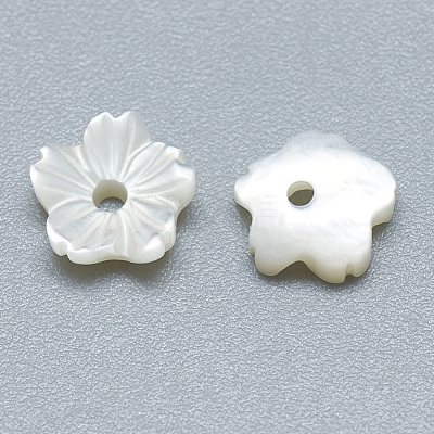 Natural White Shell Beads SSHEL-S260-011-1