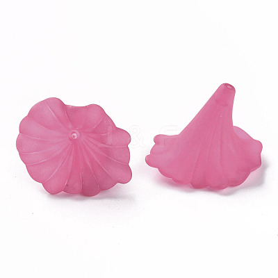 Transparent Acrylic Beads BSF796-C16-1