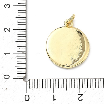 Brass Enamel Pendants KK-H255-05G-02-1
