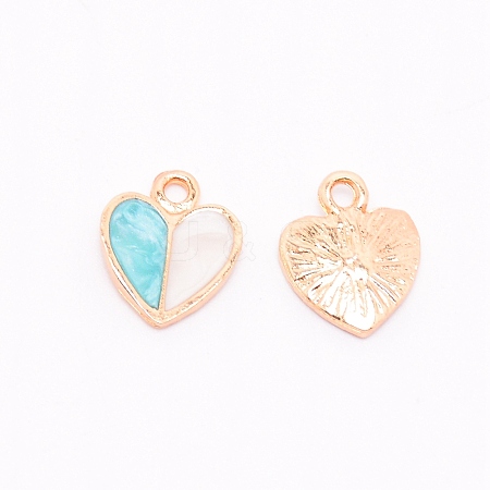 Alloy Enamel Pendants ENAM-CJC0002-02D-1