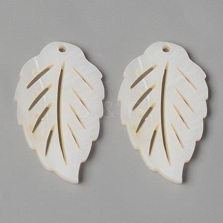 Natural Freshwater Shell Pendants SHEL-N026-86-1