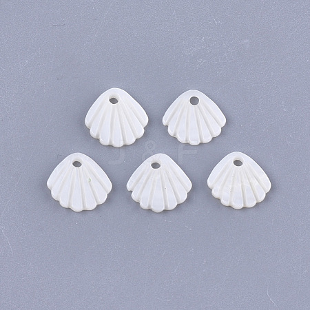 Freshwater Shell Charms X-SHEL-T012-62-1