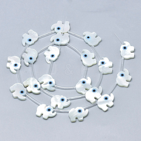 Natural White Shell Mother of Pearl Shell Beads SSHEL-N036-009-1