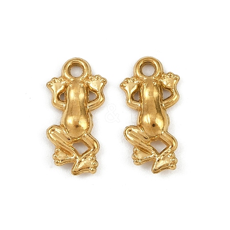 304 Stainless Steel Charms X-STAS-F317-12G-1