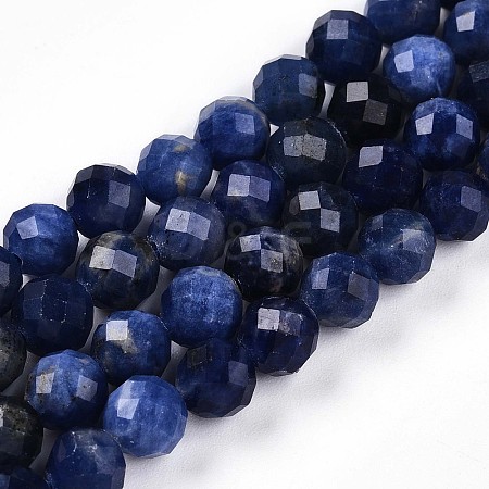 Natural Sodalite Beads Strands G-S345-6mm-26-1