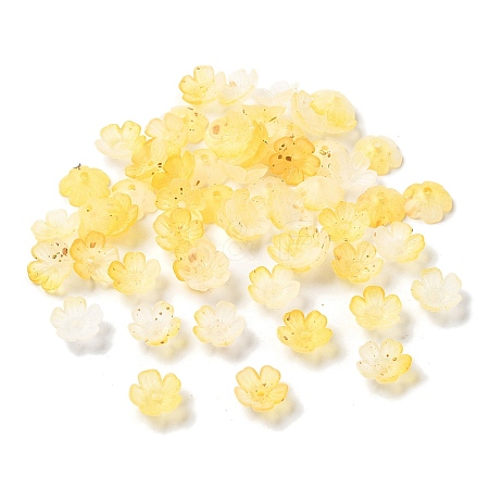 Acrylic Bead Caps OACR-Z028-03D-1