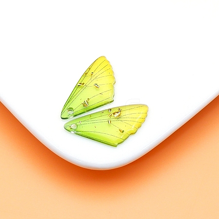 Transparent Resin Pendants RESI-TAC0005-023A-19-1