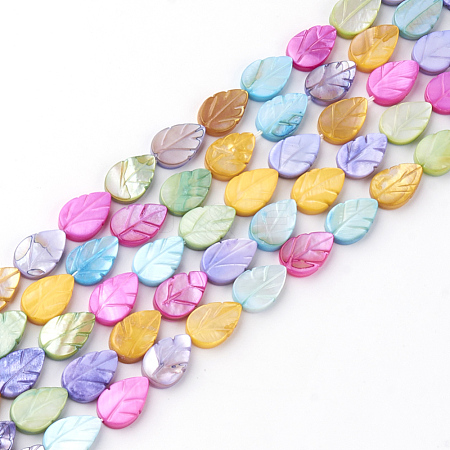 Natural Freshwater Shell Beads SHEL-Q008-05-1