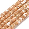 Natural Trochus Shell Beads Strands SHEL-P017-07-1