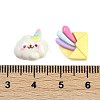 Summer Theme Resin Cabochons RESI-H166-18-3