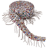Iron & Resin Tassels Ribbon OCOR-WH0105-071-1