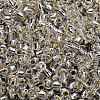 TOHO 3/0 Round Beads X-SEED-TR03-0021-3