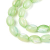Natural Trochus Shell Beads Strands SHEL-K006-19-01C-3
