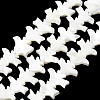 Natural Trochid Shell/Trochus Shell Beads Strands SSHEL-R145-04-1