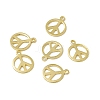 Rack Plating Brass Charms X-KK-C007-08G-1