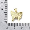 Brass Micro Pave Clear Cubic Zirconia Pendants KK-V010-14G-3