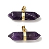 Natural Amethyst Double Terminal Pointed Pendants G-NH0001-15G-10-1
