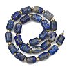 Natural Lapis Lazuli Beads Strands G-D103-A02-3