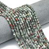 Natural African Bloodstone Beads Strands G-P575-A55-4x2mm-1