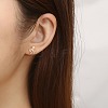 304 Stainless Steel Stud Earrings for Women VB4414-2-4