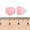 Imitation Candy Food Style Resin Cabochons RESI-R461-01D-3