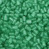 FGB Frosted Transparent Glass Seed Beads SEED-N013-05A-09-3