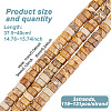 3 Strands Natural Picture Jasper Beads Strands G-GO0001-55-2