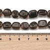 Natural Ice Obsidian Beads Strands G-P623-A01-02-5