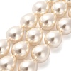 Electroplate Shell Pearl Beads Strands BSHE-G010-16x20mm-01-1