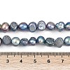 Natural Cultured Freshwater Pearl Beads Strands PEAR-P064-20B-02B-5