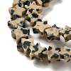 Natural Dalmatian Jasper Beads Strands G-G085-B13-02-3