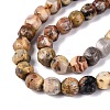 Natural Crazy Agate Beads Strands G-Q608-08A-05-4