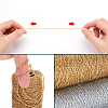   2 Rolls 2 Colors Polyester Braided Metallic Cord OCOR-PH0002-82-4