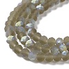 Transparent Glass Beads Strands EGLA-A044-T4mm-MB16-4