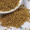 MIYUKI Round Rocailles Beads SEED-G008-RR4203-1