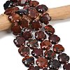 Natural Brecciated Jasper Beads Strands G-C220-E02-20mm-2