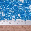 MIYUKI Delica Beads SEED-MY11-DB0787-4