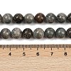 Natural Gemstone Beads Strands G-F792-C11-06-5