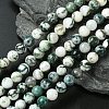 Natural Tree Agate Beads Strands G-K194-8mm-02-1