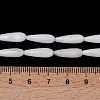 Natural Freshwater Shell Beads Strands SHEL-A004-03-5