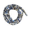 Natural Lapis Lazuli Beads Strands G-L629-B01-3mm-04-8