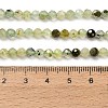 Natural Prehnite Beads Strands G-F838-A01-4mm-5