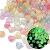 Luminous Transparent Acrylic Beads OACR-B031-13-1