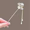 Alloy Hair Sticks PW-WG483EB-08-1