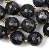 Natural Larvikite Beads Strands G-C249-A07-16mm-5